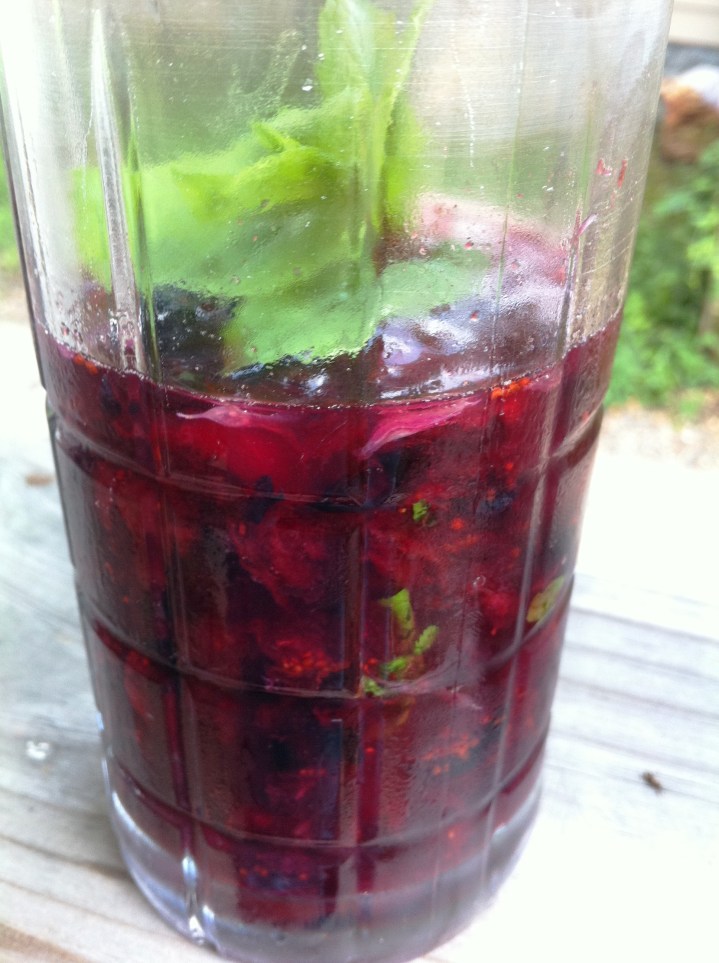 Blueberry Mojito