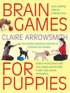 Brain Games for Puppies