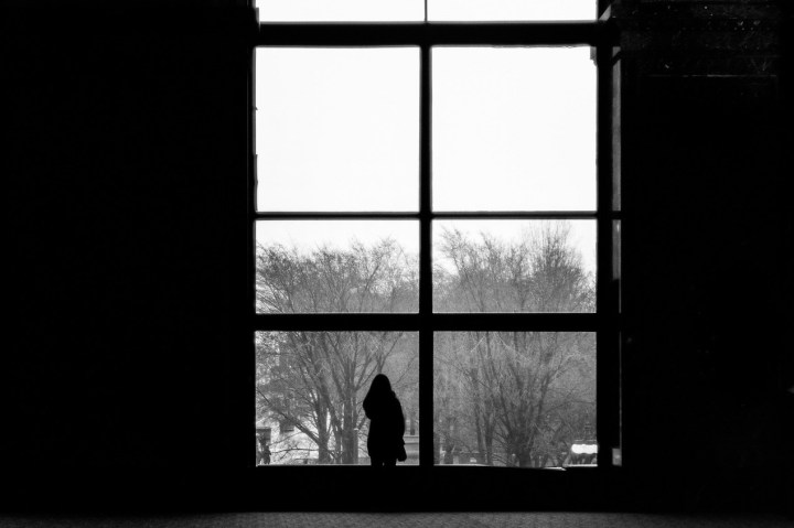 Looking outside, longingly