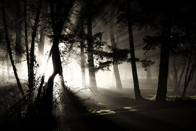 Woman running through dark forest