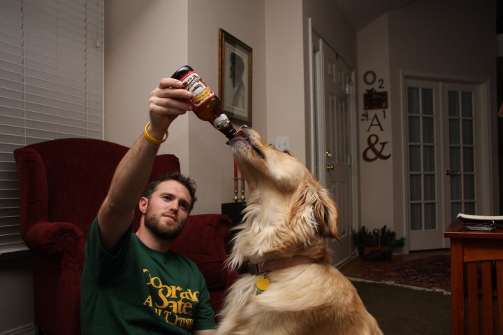 Dog beer