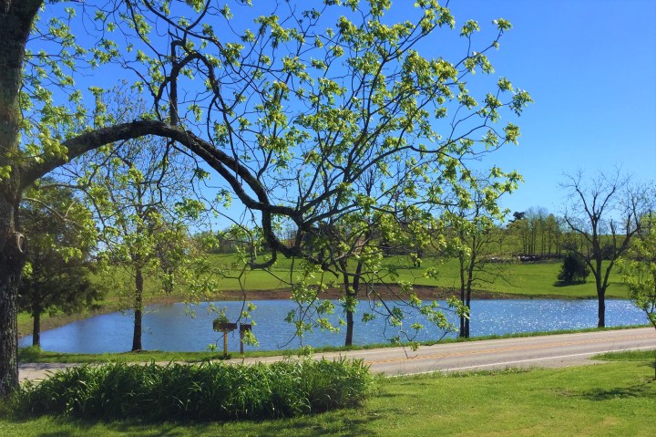 Sain guest house ponds - Photo by Jathan Fink, Jadeworks Entertainment