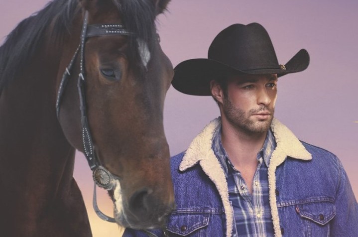 B.J. Daniels' COWBOY'S LEGACY