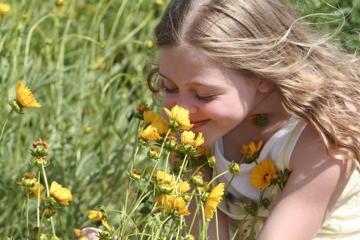 Smelling the daisies