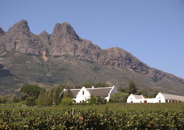 Cape Wineland