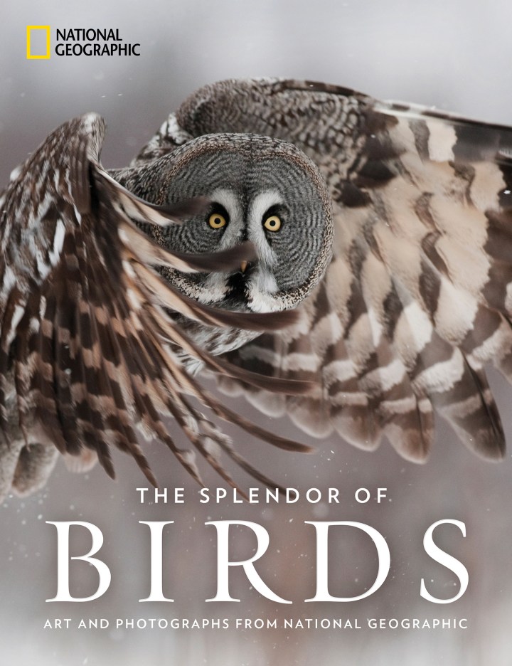 National Geographic's THE SPLENDOR OF BIRDS