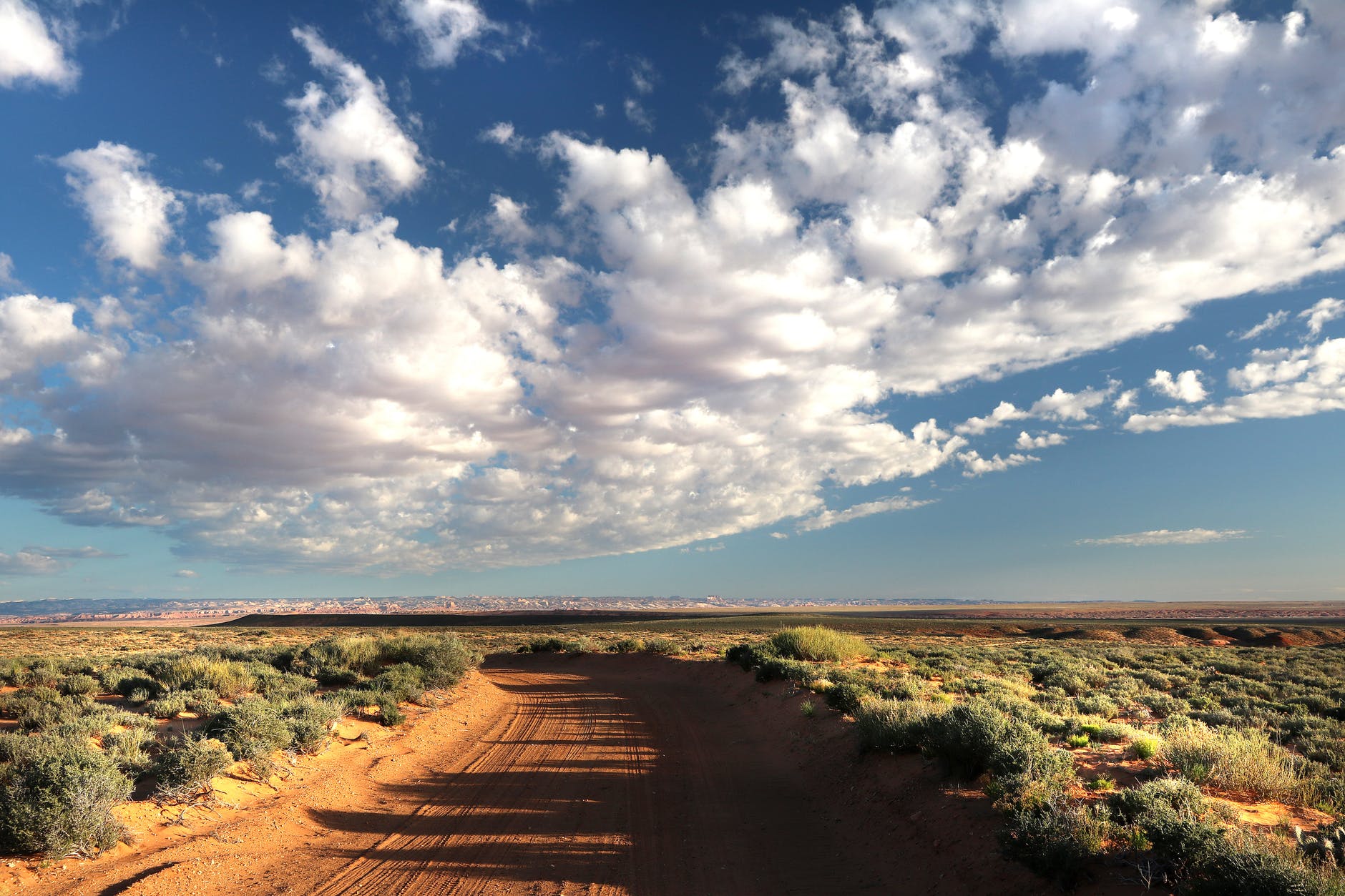 brown desert road between green leafed plants under gray cloudy sky during daytime