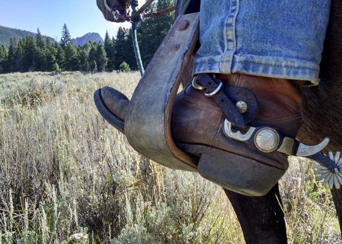 Cowboy boot in stirrup