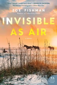 Zoe Fishman's INVISIBLE AS AIR