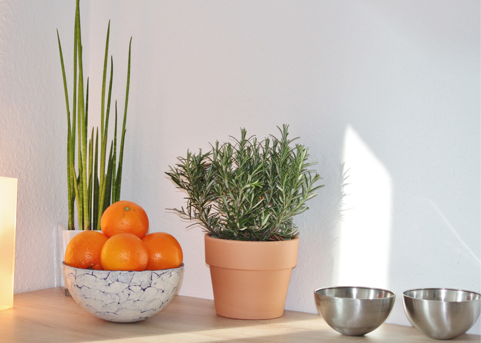 Rosemary and oranges