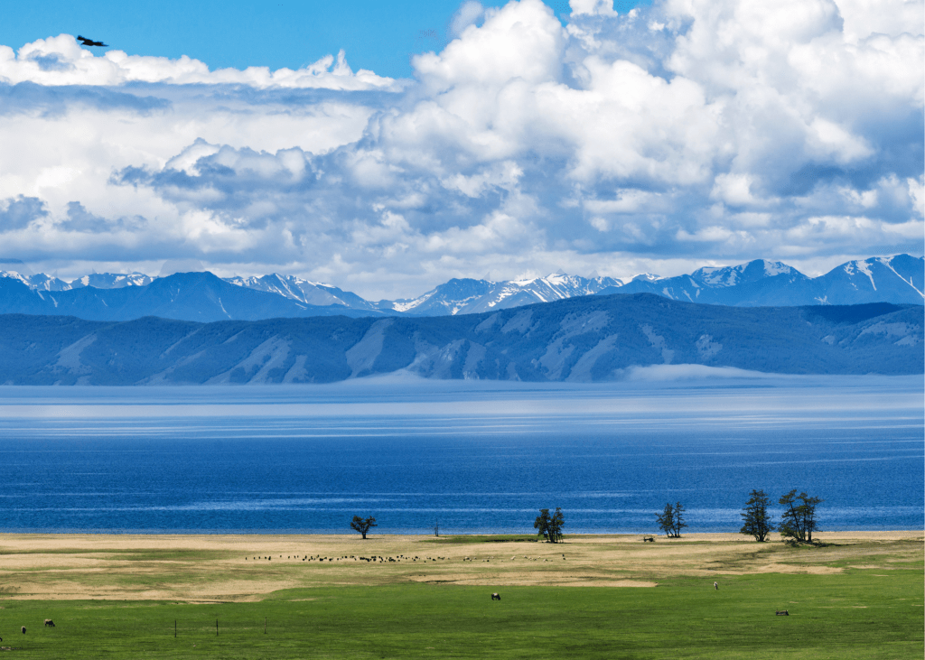 Mongolian landscape