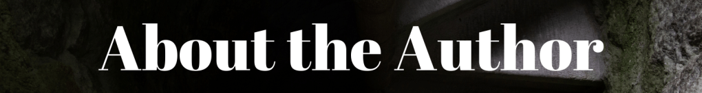 About the author banner