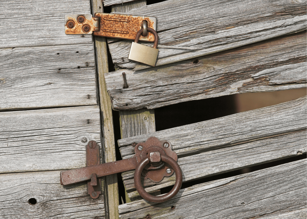 Old shed door