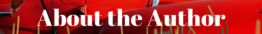 About the author banner