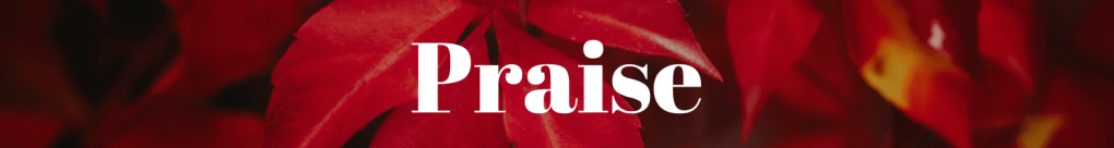 Praise